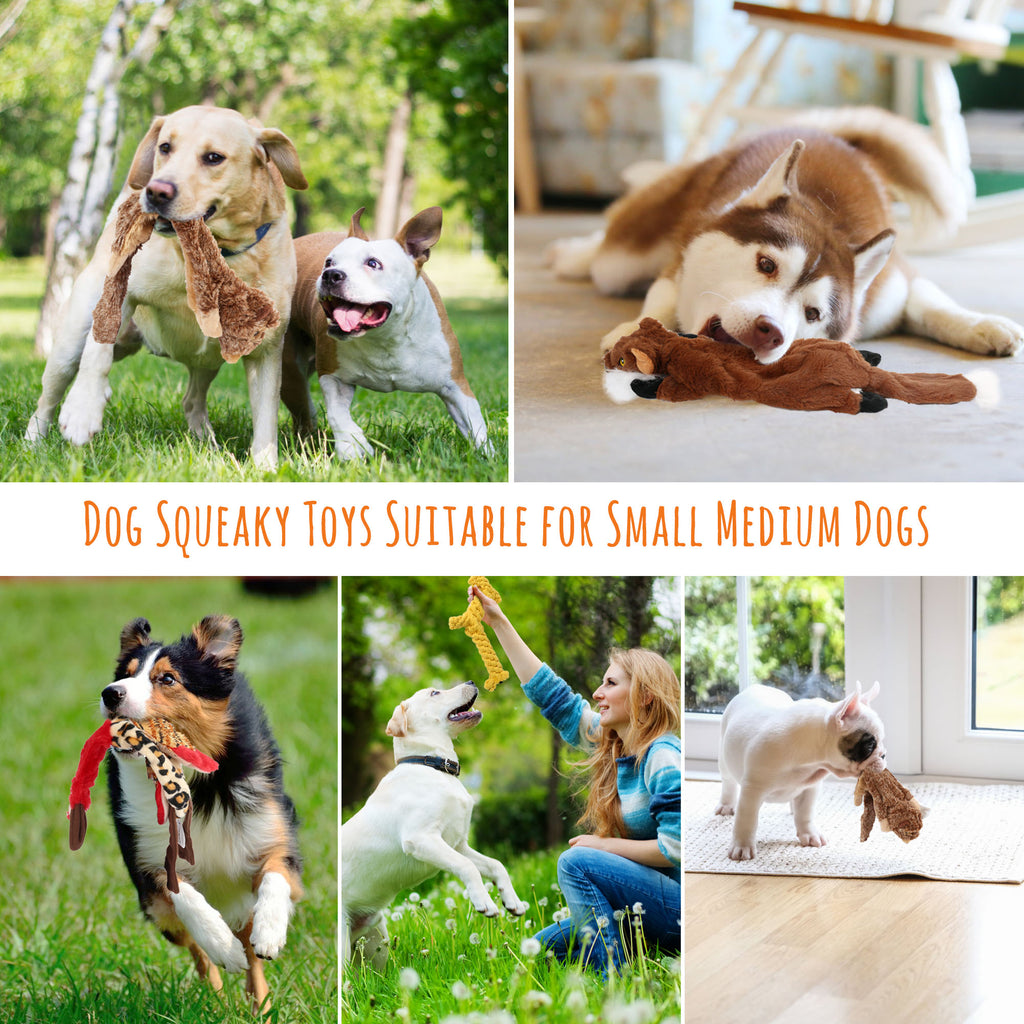 Set of 5 Dog Squeaky Toys for Small Medium Dog, No Stuffing
