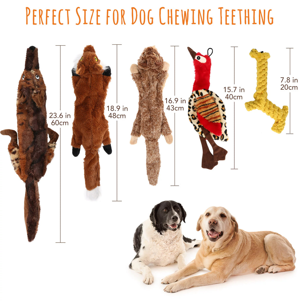 Set of 5 Dog Squeaky Toys for Small Medium Dog, No Stuffing