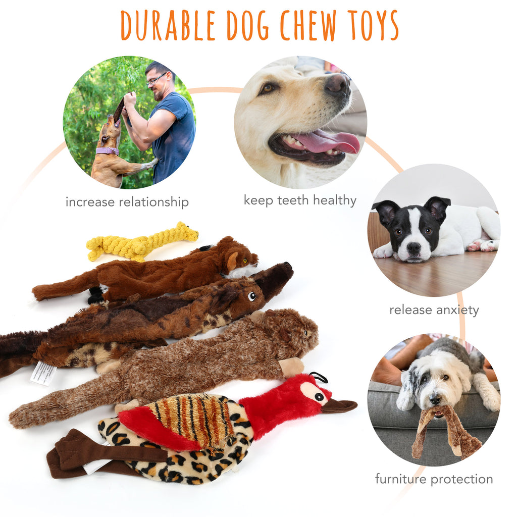Set of 5 Dog Squeaky Toys for Small Medium Dog, No Stuffing